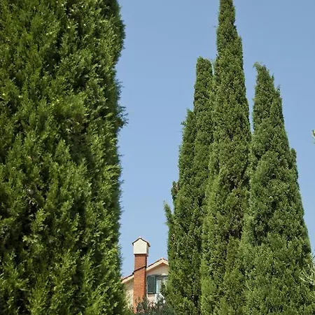 Apartament Mara Pirovac