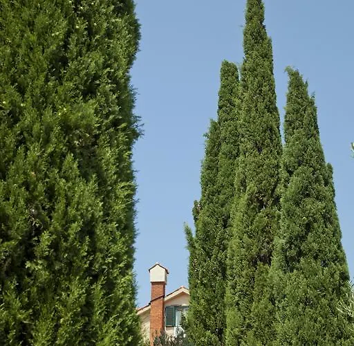 דירה Mara פירובאץ