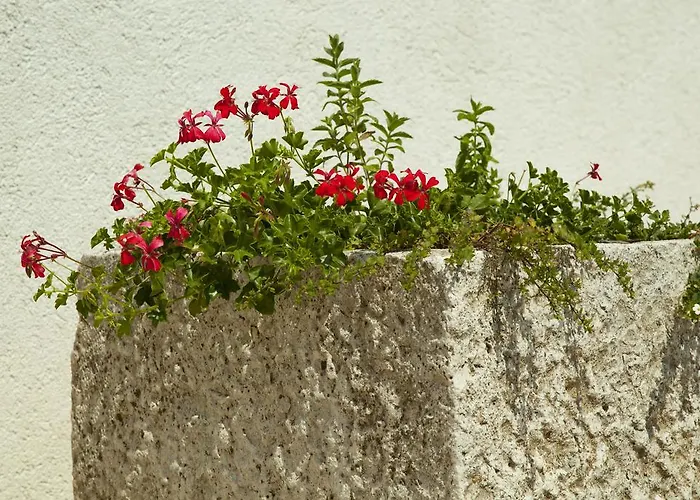 דירה Mara פירובאץ